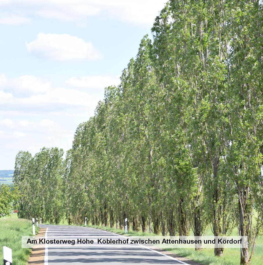 10 Klosterweg becrima