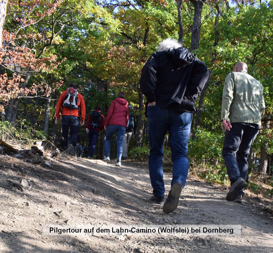 12 PilgernWolfsley becrima