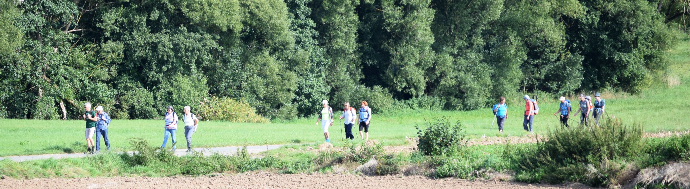 PW21FreiesFeld becrima 