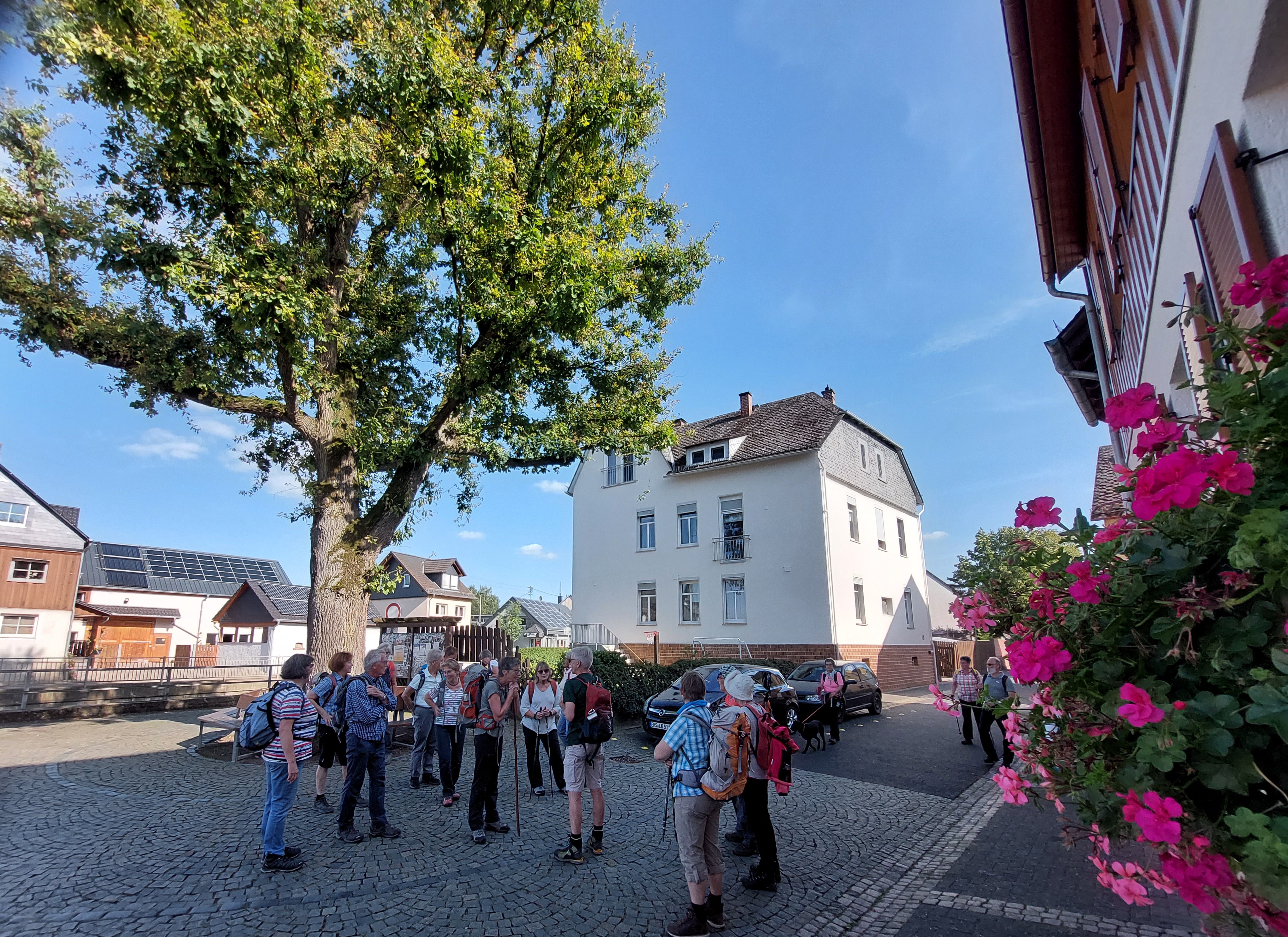 PW21FriedenseicheMiehlen1 becrima