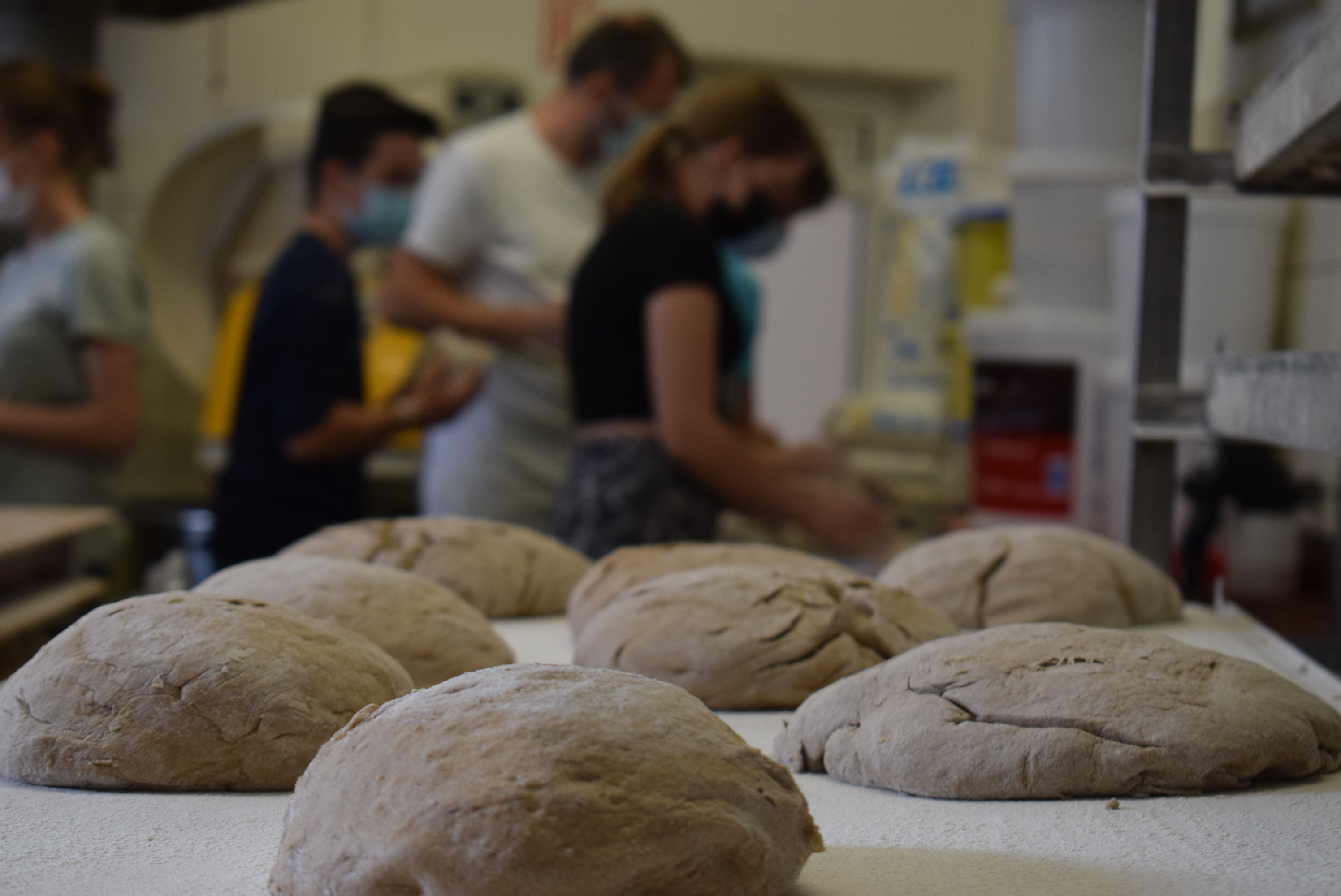 500BroteKA21 Quer becrima 