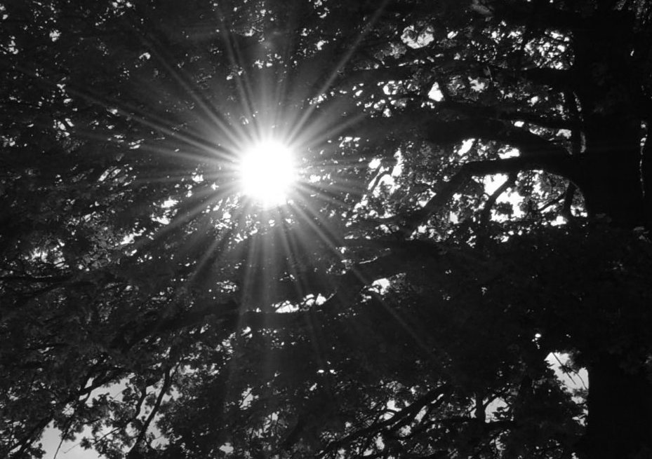 Licht sw co becrima 