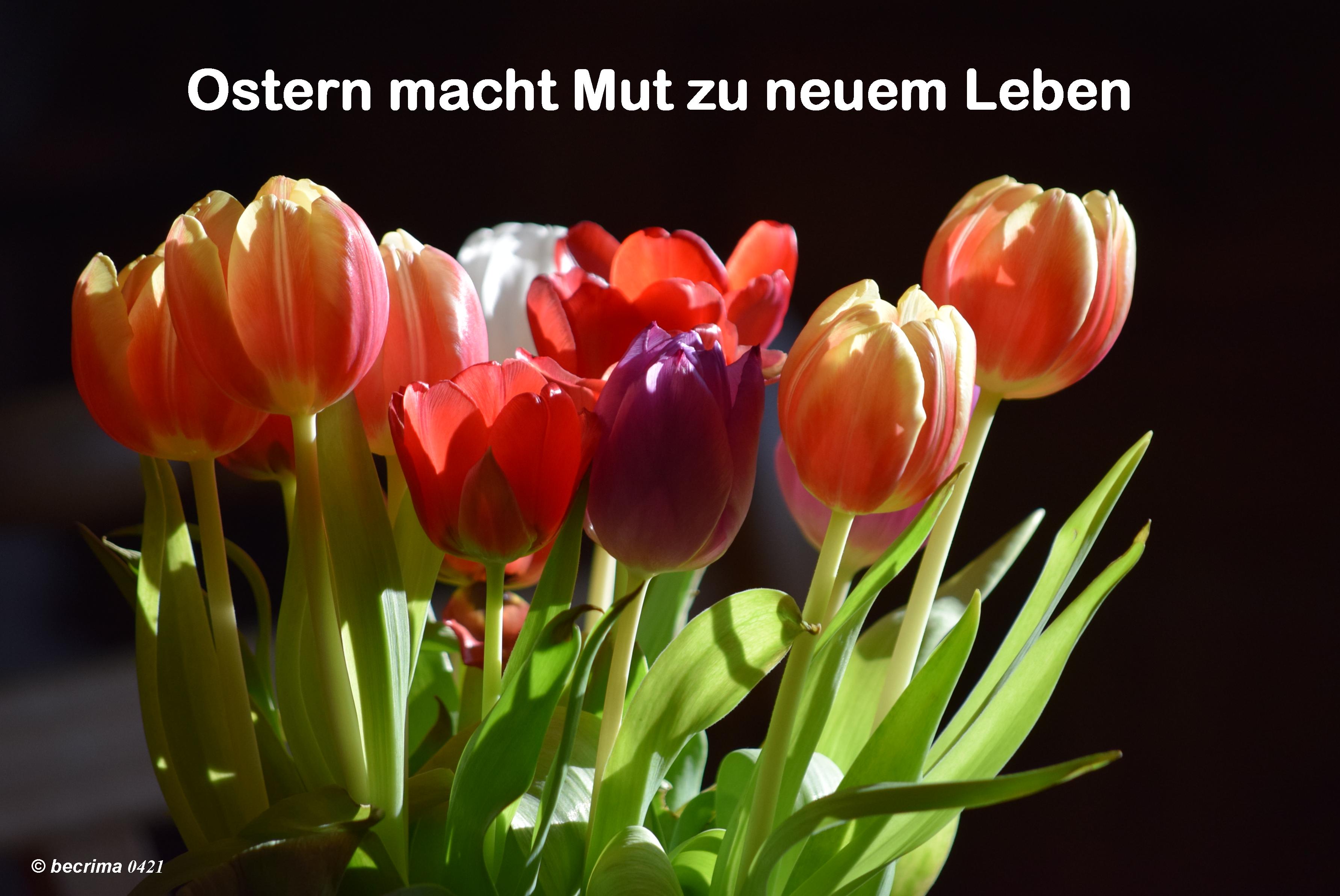 Ostern2021MutZuNeuemLeben becrima