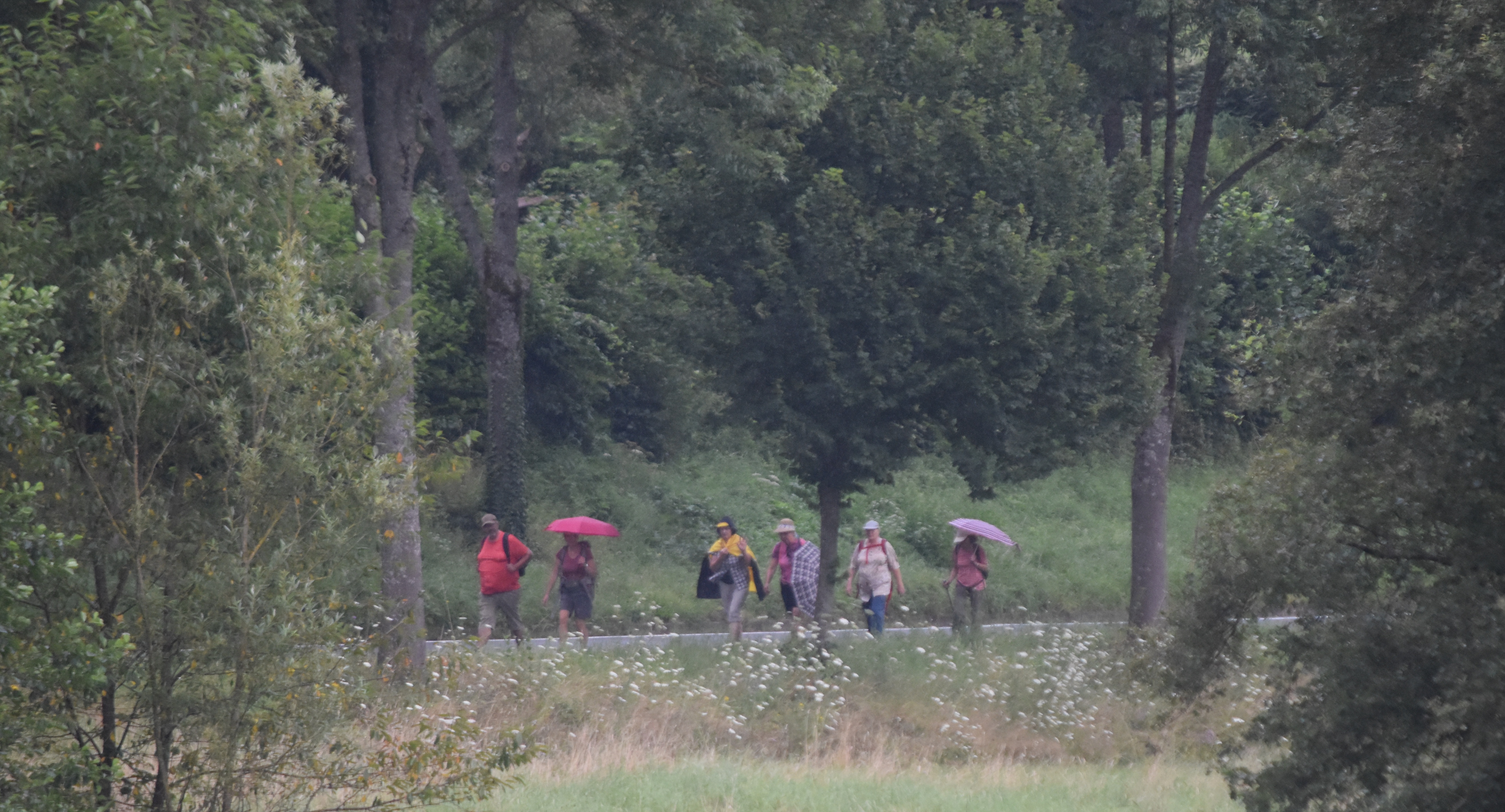 PW030824Unterwegs becrima 