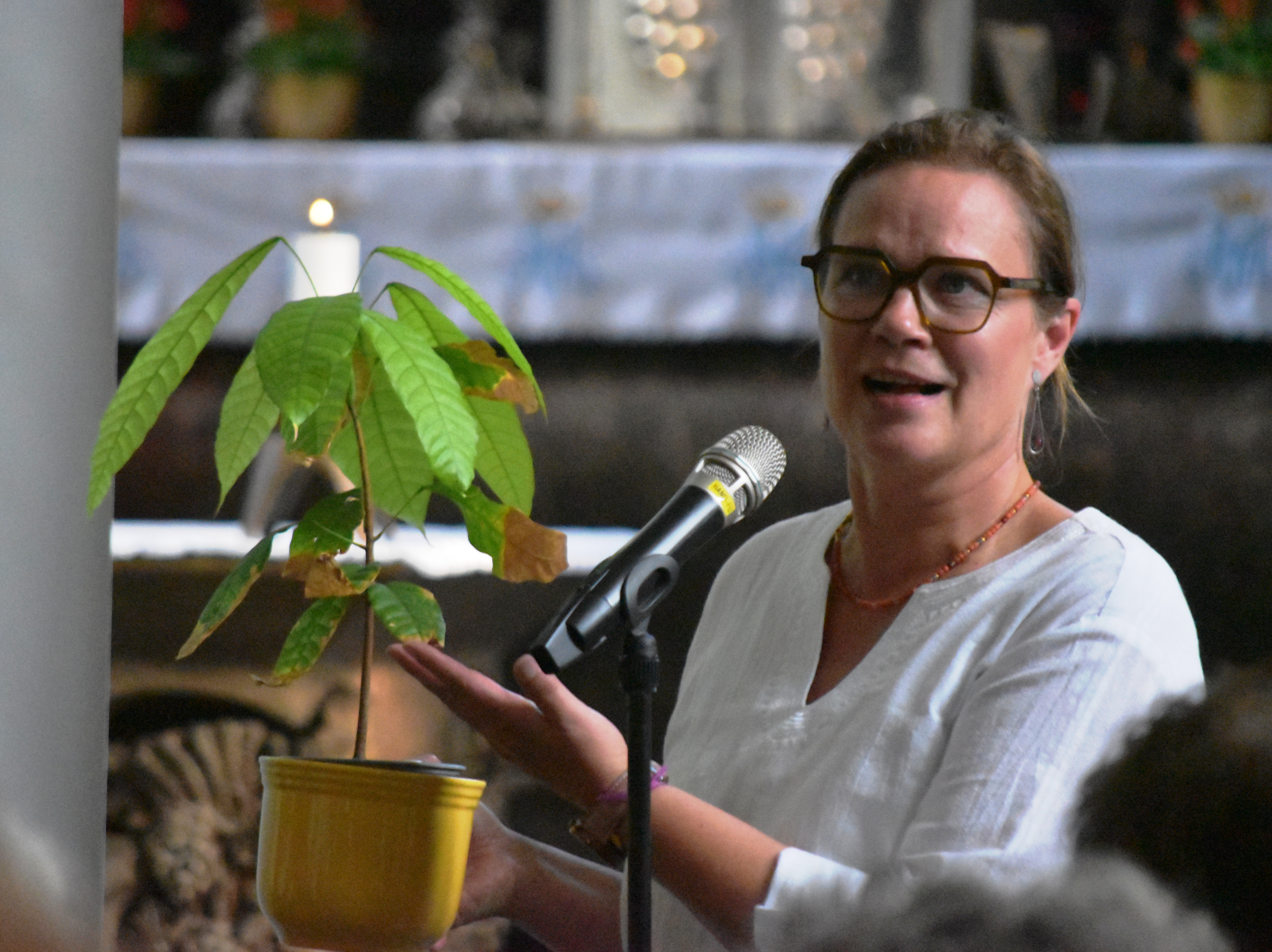 Schoko Godi240824 MolterBfdW1 becrima 