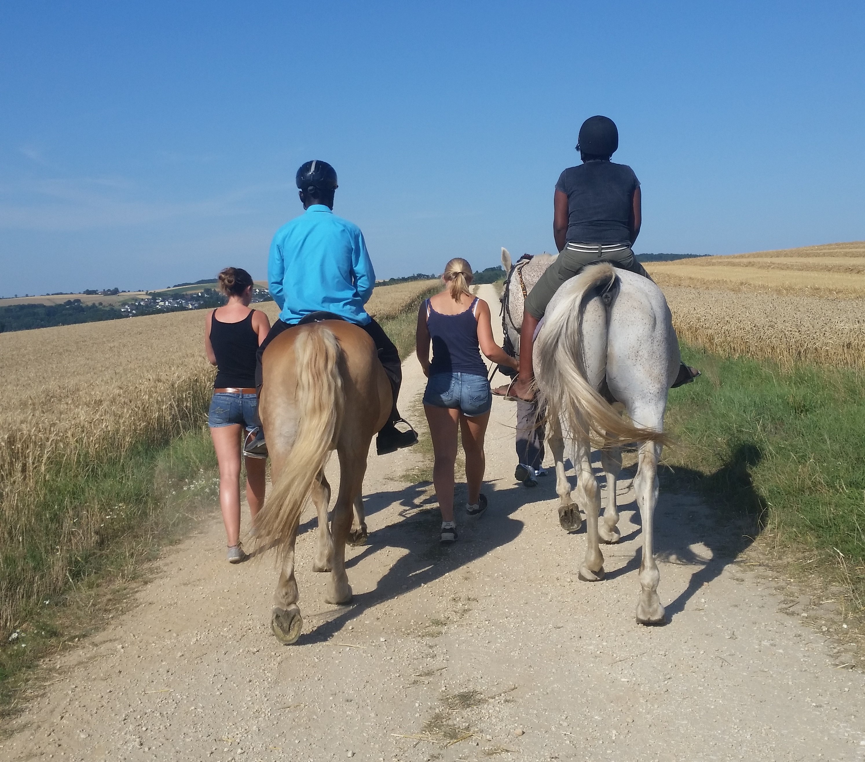 Reiterferien2 co katama