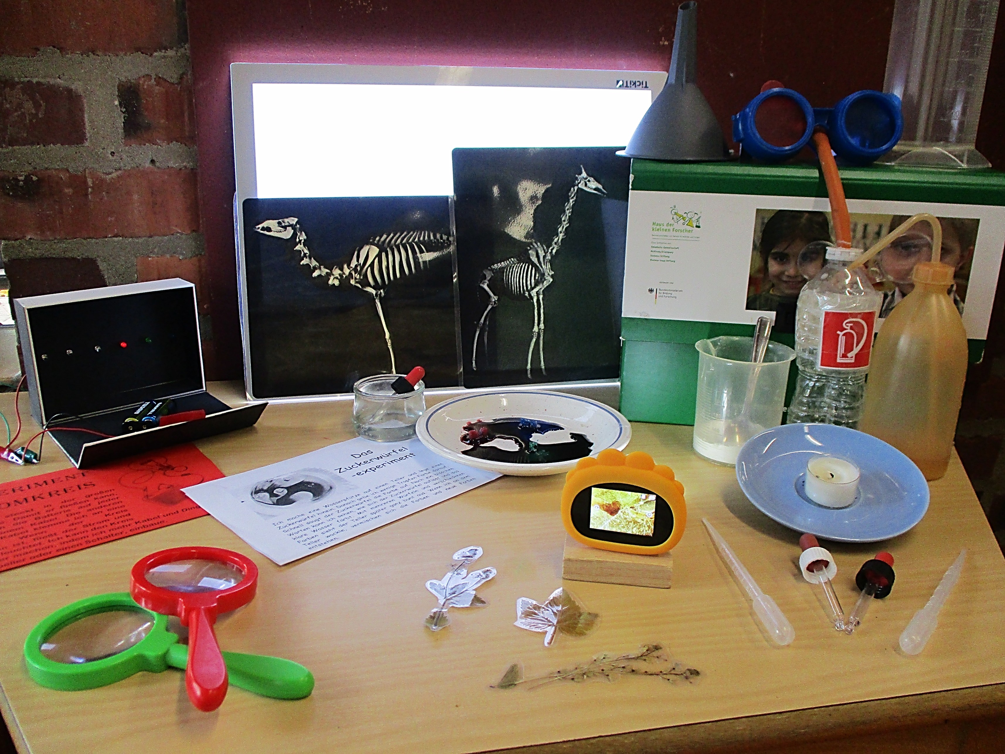 evangelische Kita Allerheiligenberg Forscher 1025 Foto Kita Thomas Herzhauser